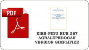 img-vignette-defaut-EIES-267-agbalepedogan-version-simplifiee-png